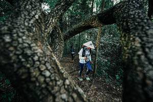 BIB: 
                            <button type="button" onclick="openModal(25392036)" class="btn btn-primary btn-sm float-right btn-popup" data-toggle="modal" data-target=".modal-high-quality">
                        <i class="fas fa-shopping-cart"></i> Add to Cart
                    </button>
                                            <button type="button" onclick="isThisMe(25392036, true)" class="btn btn-success btn-sm float-right btn-popup btn-isme hidden" data-toggle="tooltip" data-placement="bottom" title="นี่คือรูปของคุณใช่ไหม คลิกที่นี่เพื่อเอาเข้าอัลบั้ม">
                        <i class="fas fa-plus"></i> Add to album
                    </button>
                    <button type="button" onclick="isThisMe(25392036, false)" class="btn btn-warning btn-sm float-right btn-popup btn-isnotme hidden">
                        <i class="fas fa-ban"></i> Remove from album
                    </button>